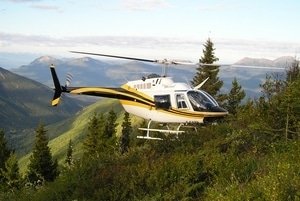 Bell 206 B3 JetRanger Yellowhead Helicopters