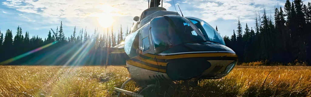 Vanderhoof, BC 3 Bell 206 helicopter landed in forest glade with late afternoon sun glinting in the background
