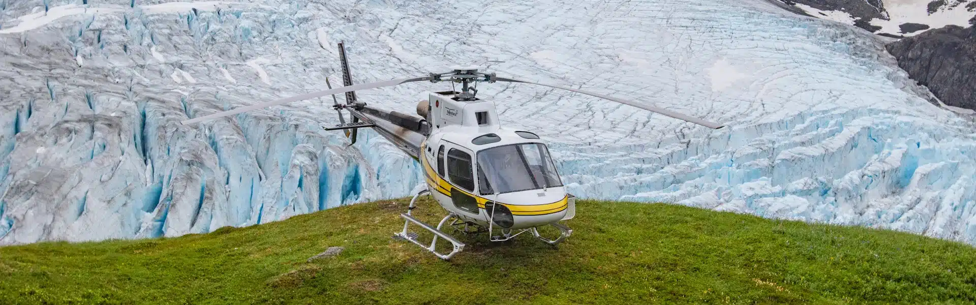 Photo of Yellowhead Helicopters landed on green grass viewing the Salmon Glacier