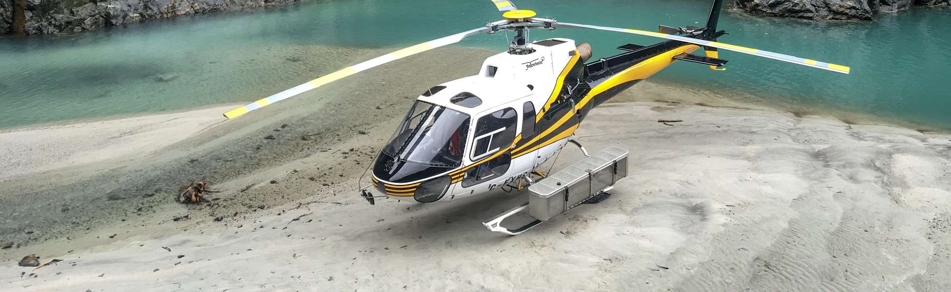 helicopter services aerial surveying