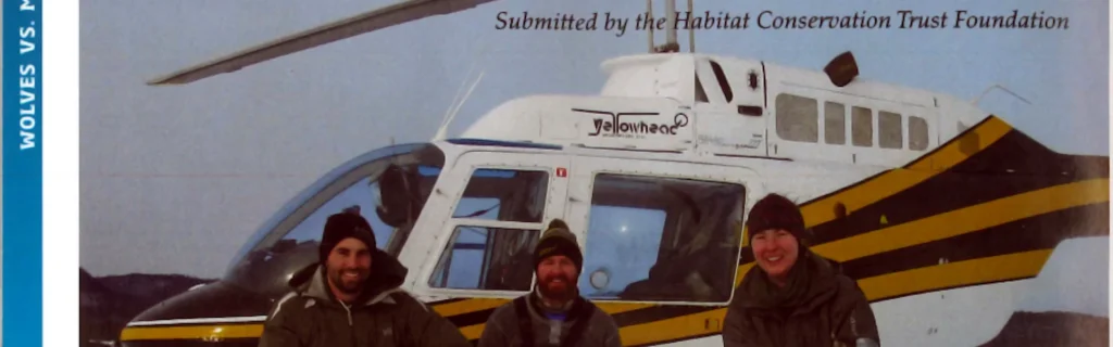 BCWF Study how wolves impact moose pop 5 Article clipping wolves survey