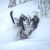 BC Content Hub photo of snowmobiling in BC