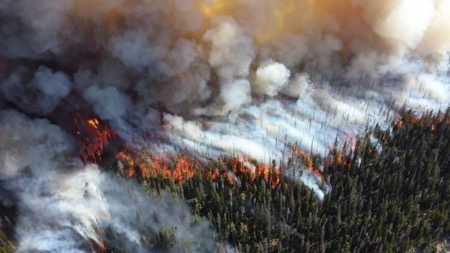wildfire photo news